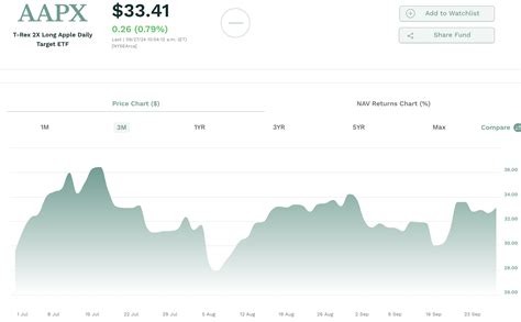 netflix leveraged etf