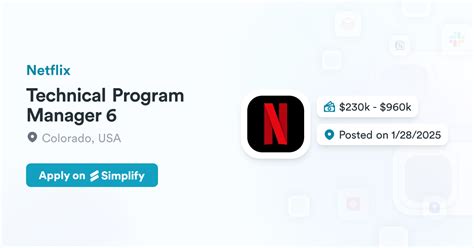 netflix technical program manager