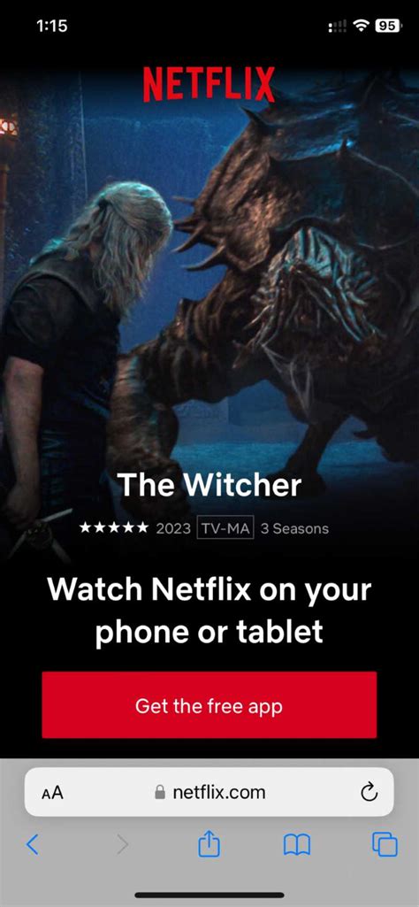 netflix without app