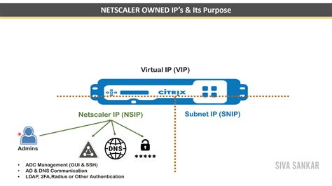 netscaler snip vip nsip