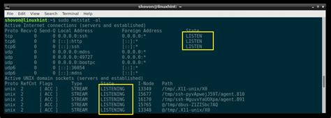 netstat check specific port