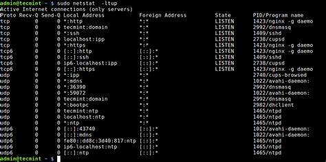 netstat command in linux to check open ports