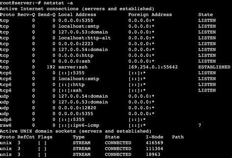 netstat command user