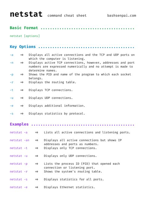 Netstat Documentation