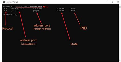 netstat find process using port