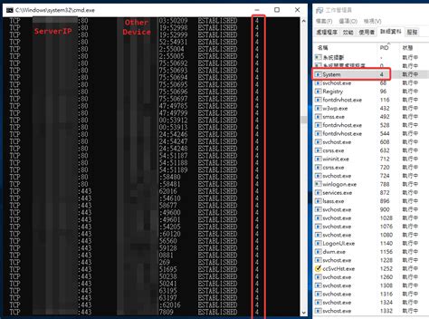 netstat show udp ports