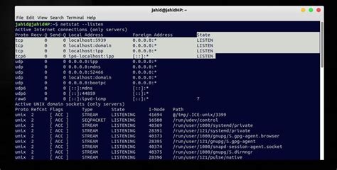 netstat to show open ports linux