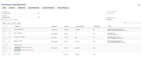 netsuite collections module support