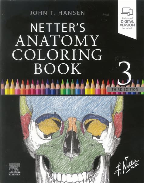 Netter Colorear Pdf Gratis