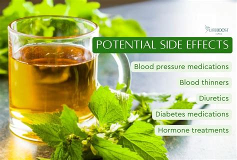 Nettle Leaf Capsules Side Effects