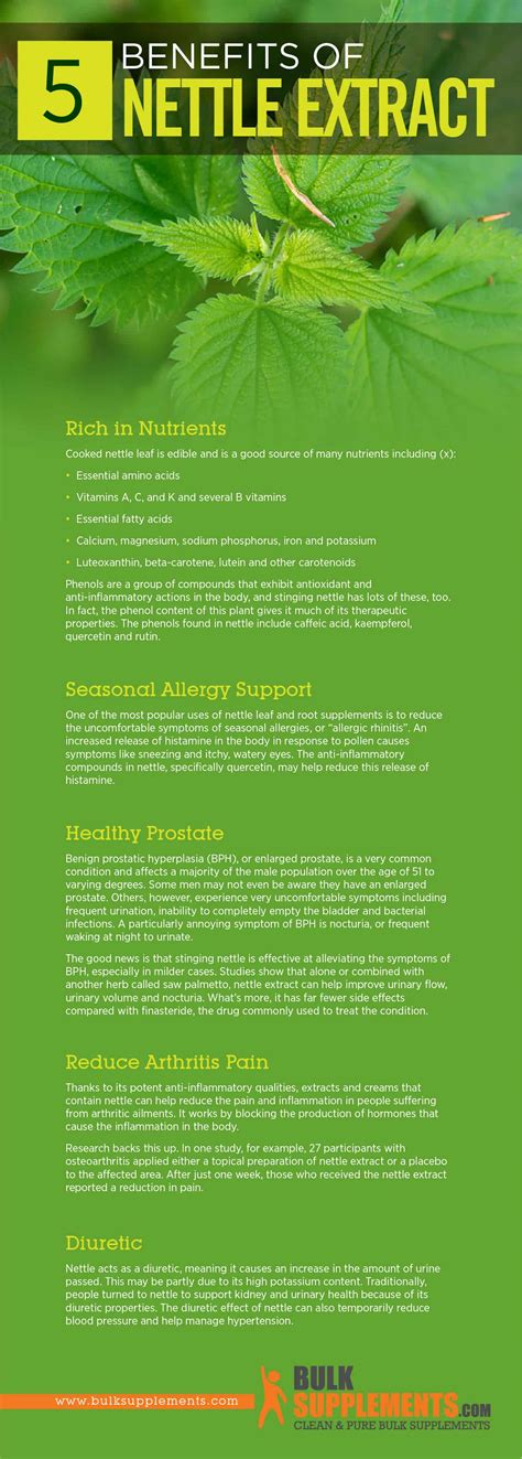 Nettle Root Properties