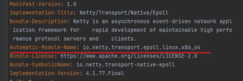 netty nio epoll bug not work