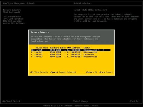 Network Adapter Configuration Esxi