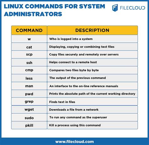 Network Administrator Commands