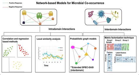 network analysis methods for studying microbial communities