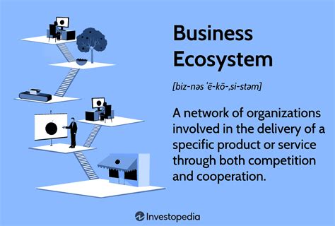 Network Business Ecosystem Definition