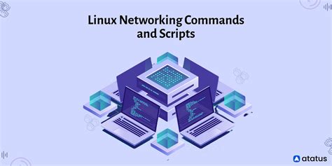 Network Cards Linux Commands