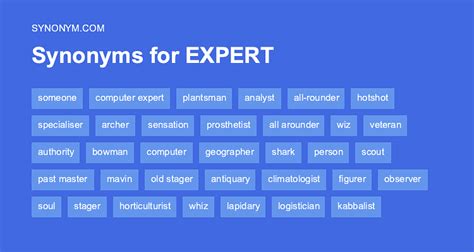 Network Expert Synonyms