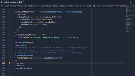 Network Image Flutter Error