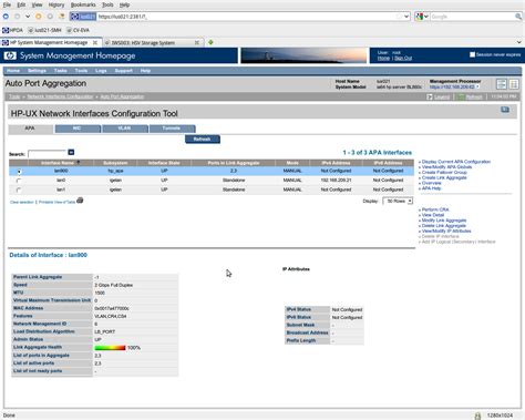 Network Interface Hpux