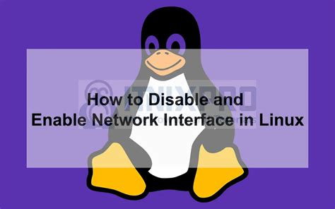 Network Interface Is Down Linux