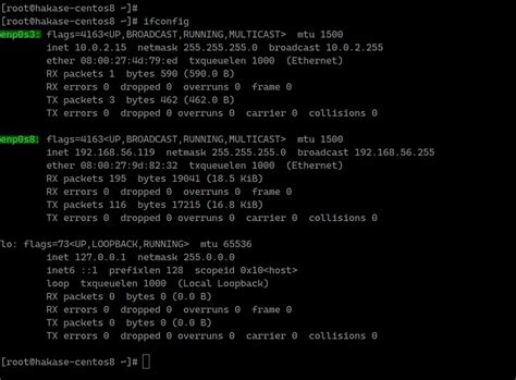 Network Interface Linux Eth0