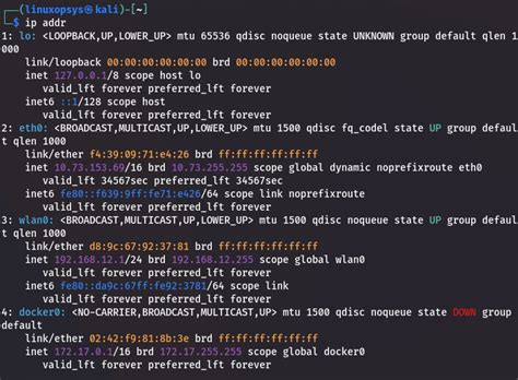 Network Interface List Linux