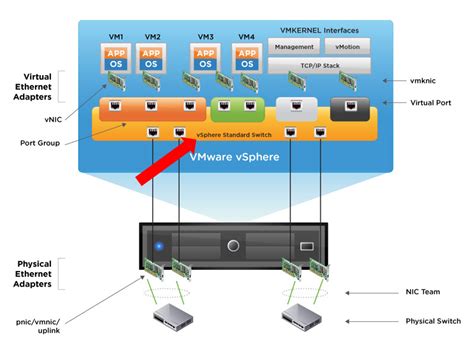 Network Interface Vmware