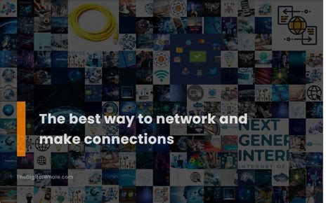<h4>Network and Make Connections</h4>