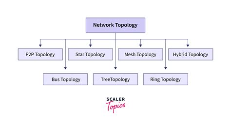 Networking All Topics