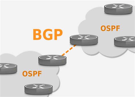 Networking Ospf Bgp