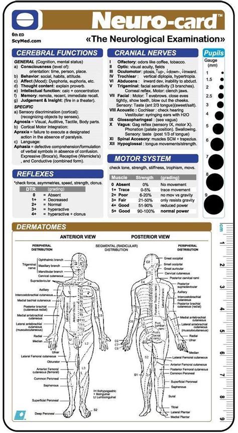neurological exam image