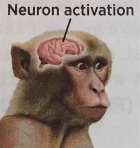 neuron activation meme meaning