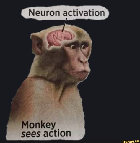 Neuron Activation Monkey