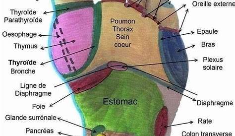 Réflexologie plantaire: Testez ces points d’acupression pour soulager