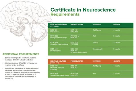 Neuroscience Certificate Program