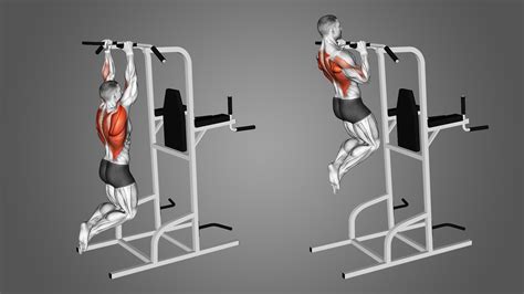 Neutral Grip Pull Ups