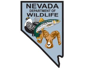 nevada division of wildlife boat registration