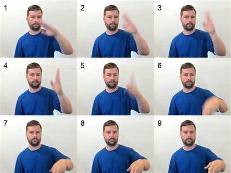 The Never ASL Mystery Revealed: Key Insights