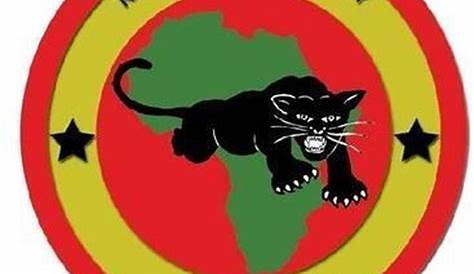 "Black Panther Party Black Power" Sticker by dru1138