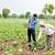 new technology for agriculture in india