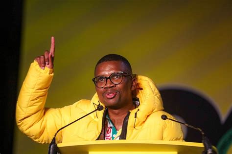 new anc youth league president