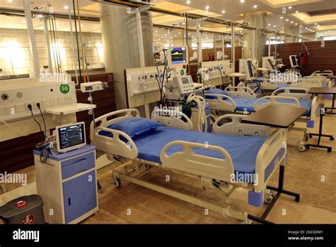 Understanding the New Coronavirus: Global Response and Prevention Strategies