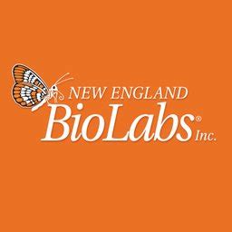 new england biolabs ipswich ma jobs indeed