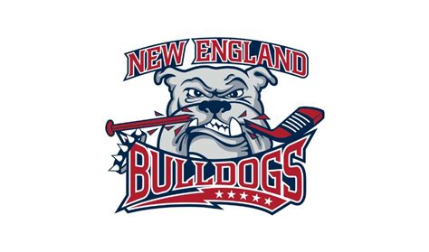 new england bulldogs youth hockey