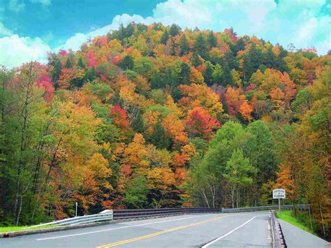 new england fall foliage bus tours 2023