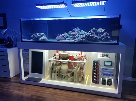 new fish tank build