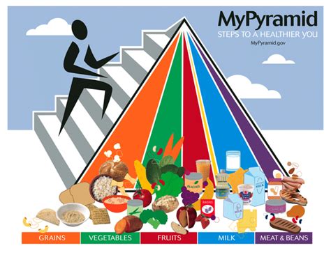 new food pyramid 2023