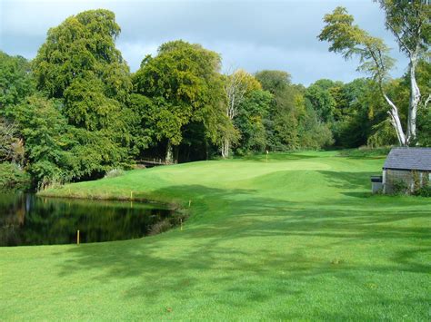 new forest golf club review