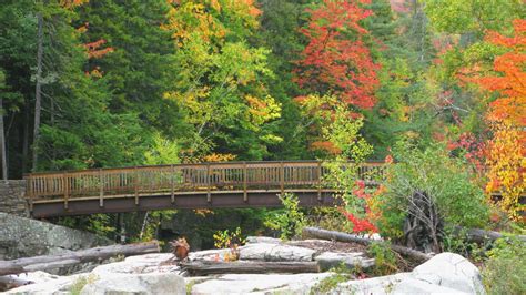 New Hampshire  Bartlett